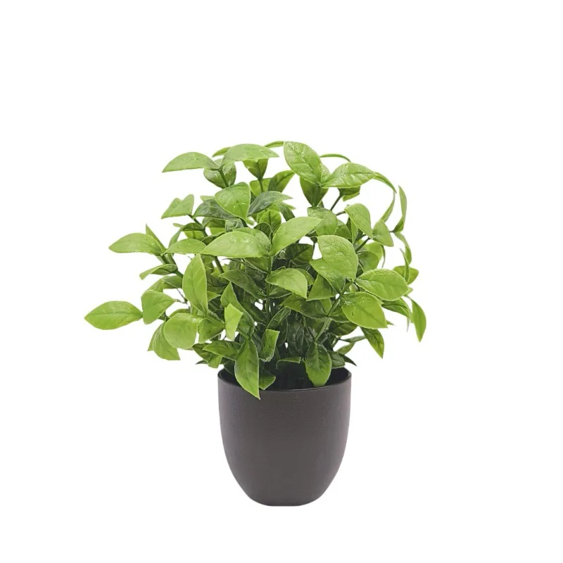 Simulation green plant bonsai  - Interior Design Home Decor recension och pris